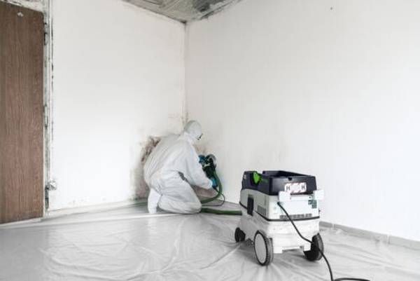 Festool CTH 26 EI Absaugmobil CLEANTEC<br>