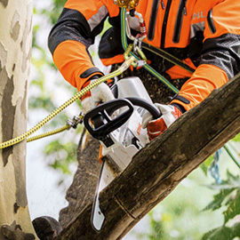 Stihl MSA 161 T Akkusäge, 25 cm<br>