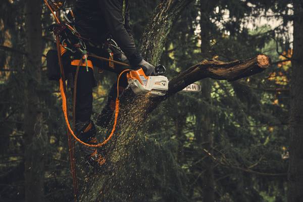 Stihl AP Stroppadapter 2in1<br>