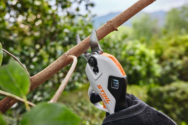 Stihl ASA 20 Akku-Astschere<br>