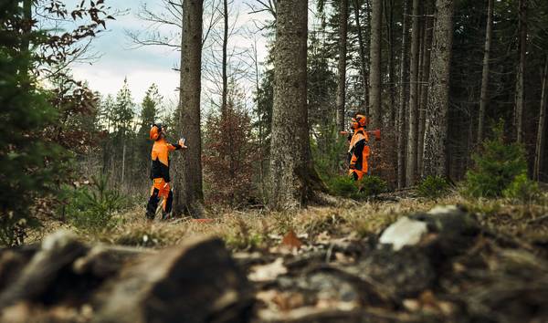 Stihl Bundhose DYNAMIC DuroTEC dAc2, Gr&ouml;sse XXL<br>