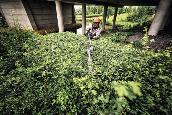 Stihl HLA 140 B Akku-Heckenschneider, ohne Akku und Ladeger&auml;t<br>