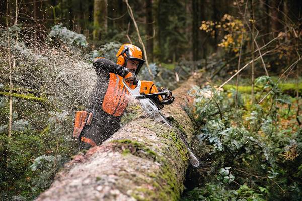 Stihl MS 500i Motors&auml;ge, RH, Schnittl&auml;nge 50 cm<br>
