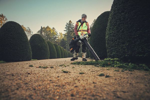 Stihl SHA 140.0 Akku-Saughäcksler<br>