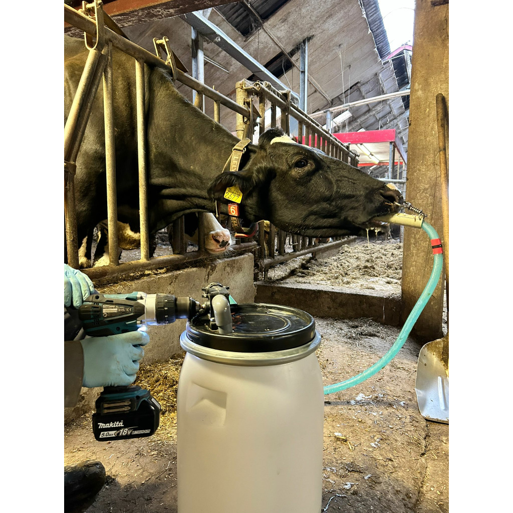 Kuh Drencher - Kunststoffrohr