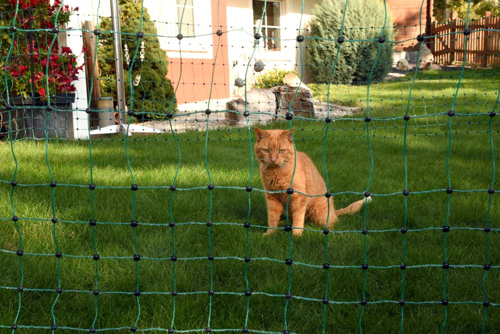 AKO Katzennetz - ektrifizierbar - grün