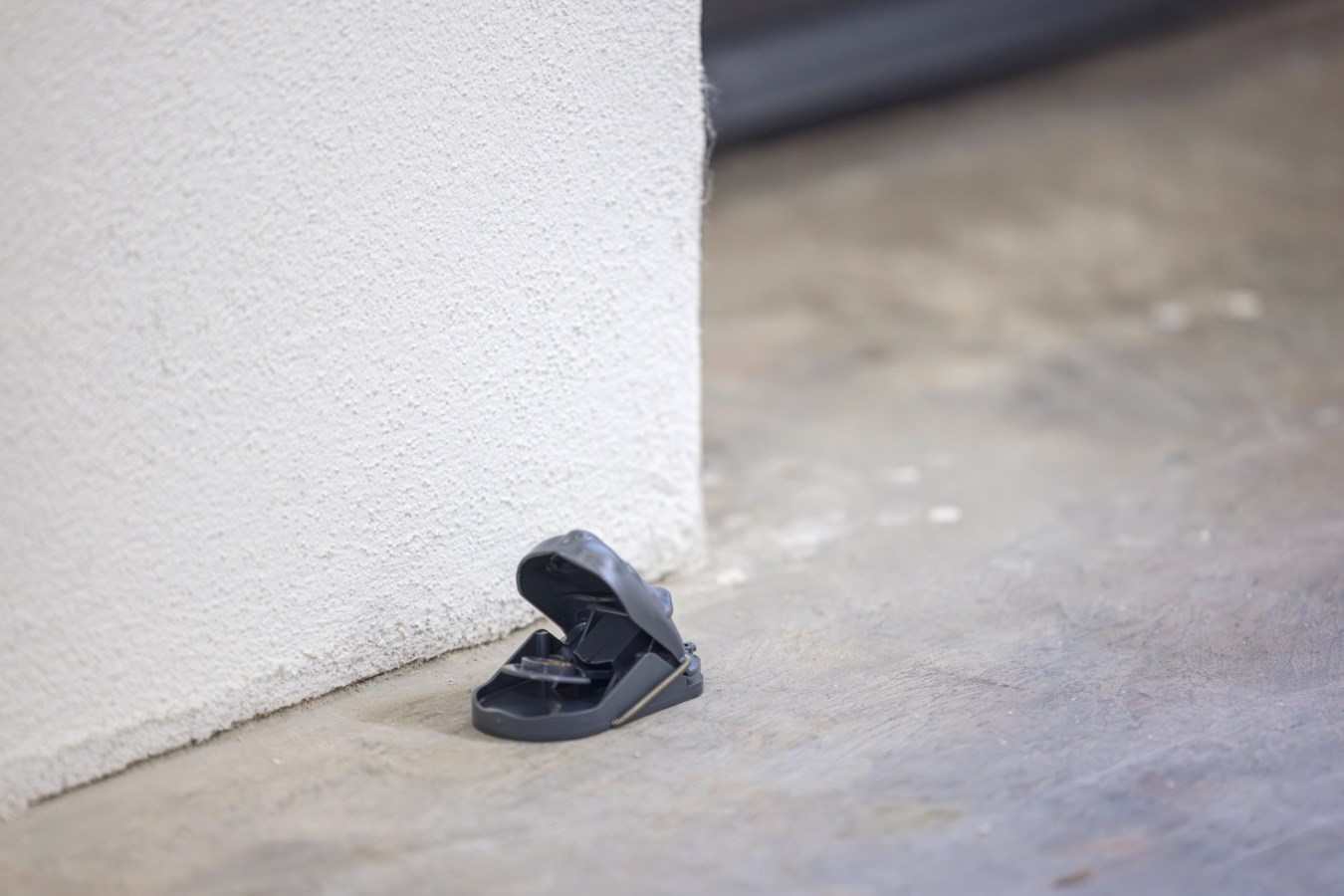 Mausefalle - mouseStop (2 Stk)