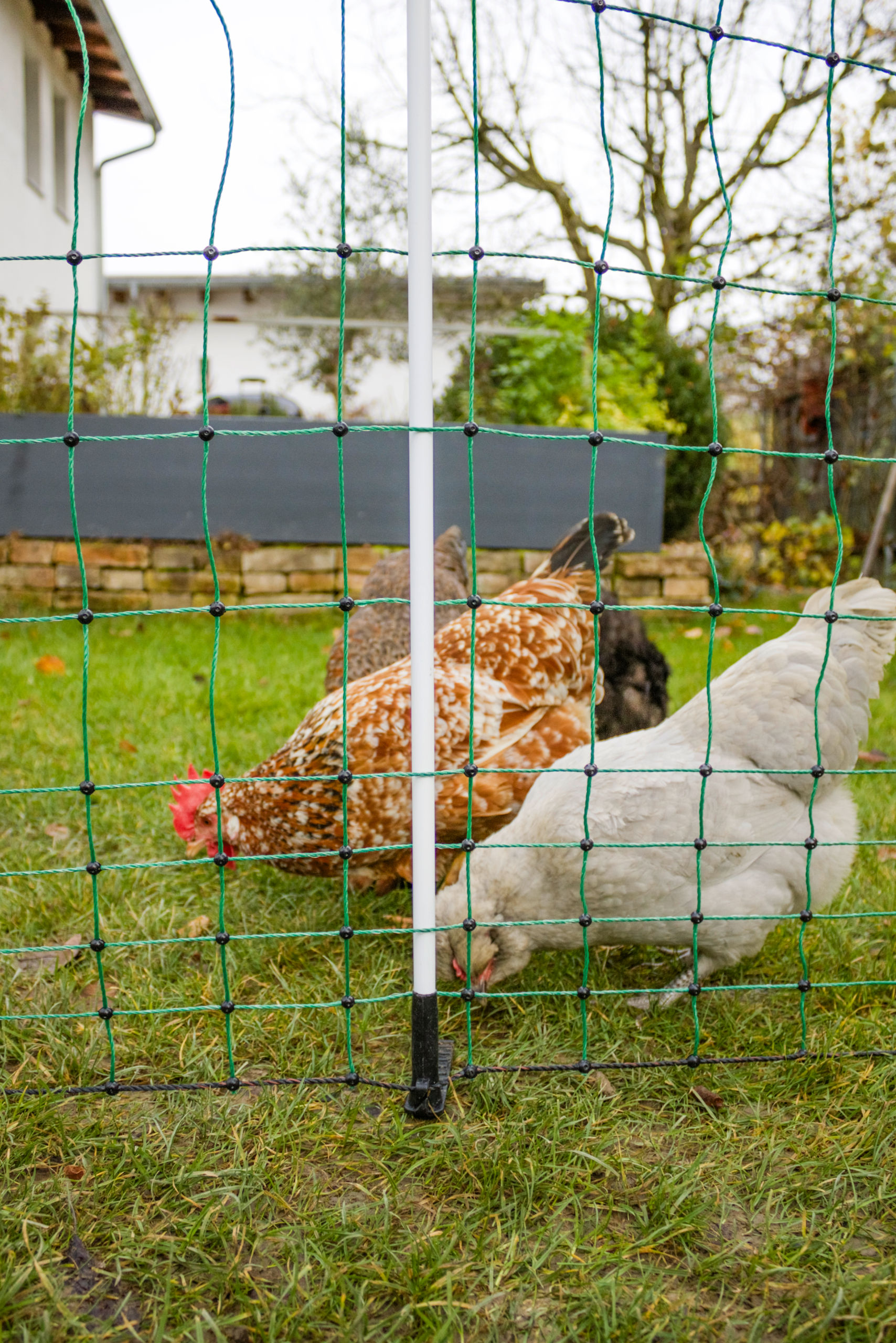 Ako - Gefl&uuml;gelnetz Maxi - elektrifizierbar