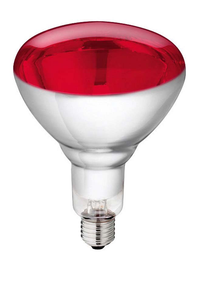 Philips - Hartglas-Infrarotlampe - rot