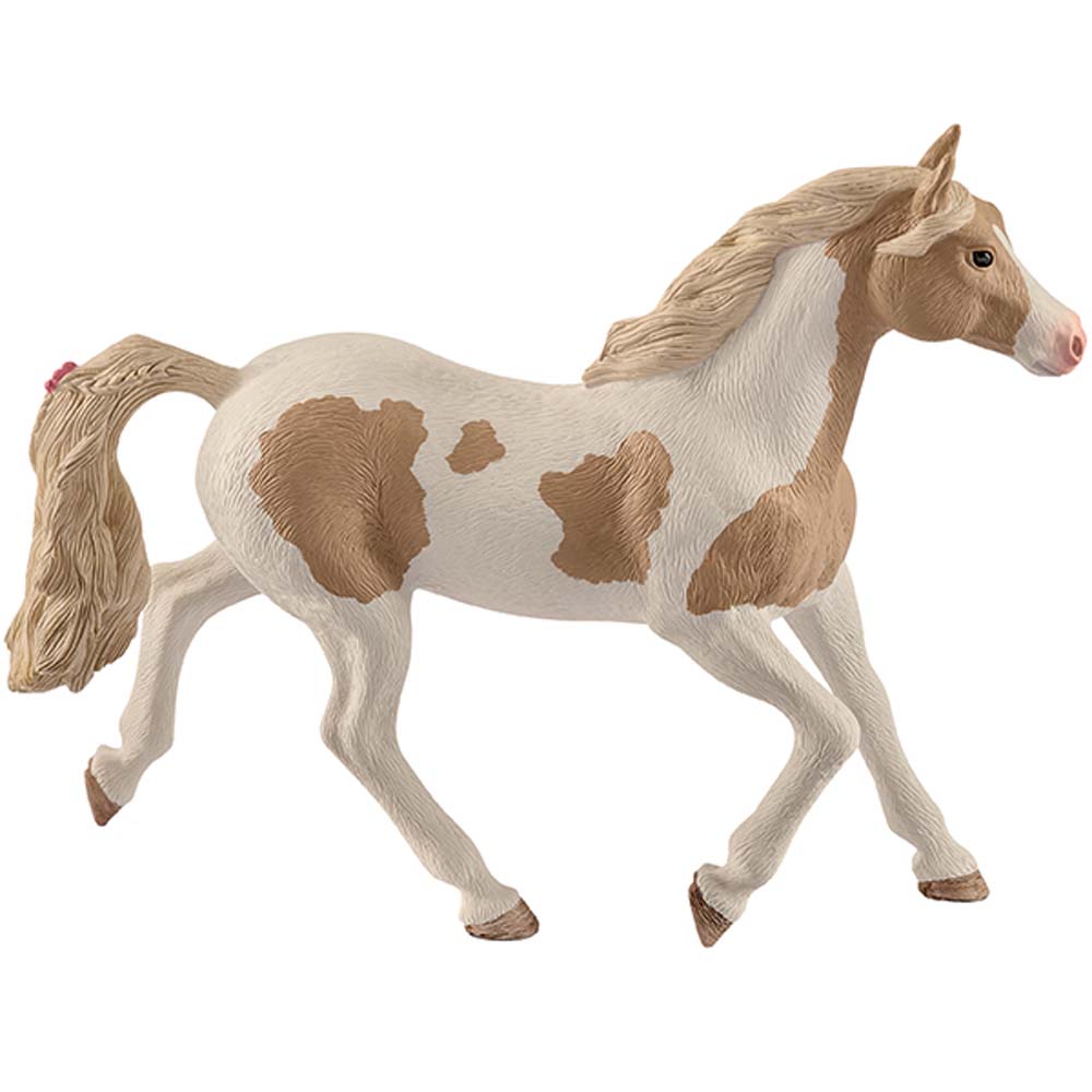 Paint Horse Stute