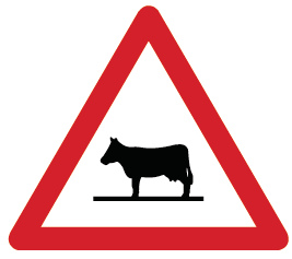 Signaltafel - 1.25 Tiere (Kuh)