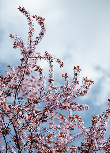 doppelkarte A5 2095 c. neutral q