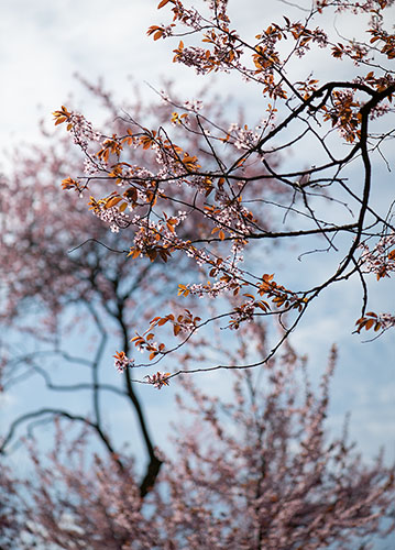 doppelkarte A5 2096 c. neutral q