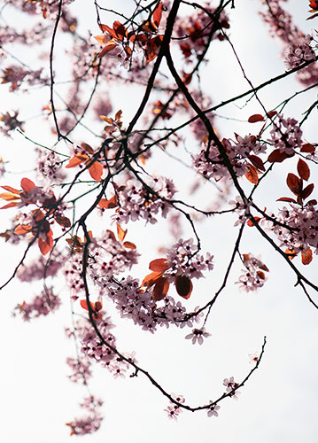 doppelkarte A5 2097 c. neutral q