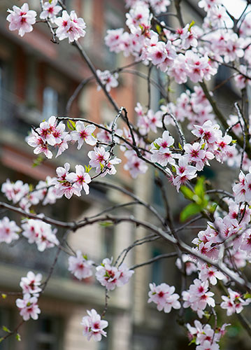 doppelkarte A5 2098 c. neutral q