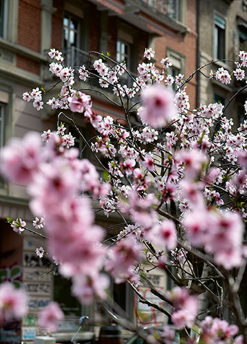 doppelkarte A5 2099 c. neutral q