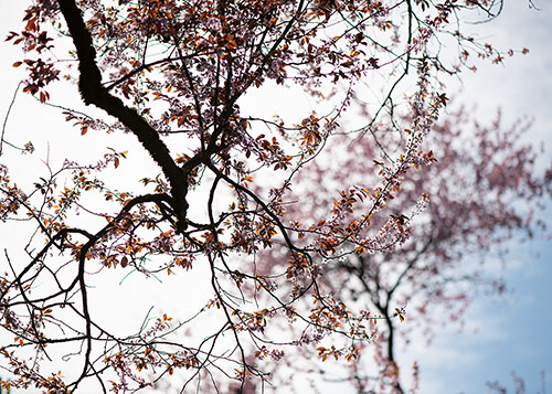 doppelkarte A5 2101 c. neutral q