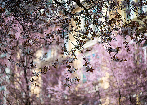 doppelkarte A5 2102 c. neutral q