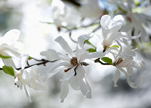 doppelkarte A5 2103 c. neutral q