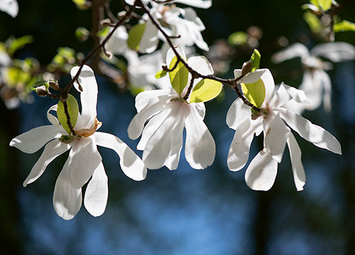 doppelkarte A5 2104 c. neutral q