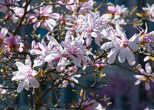 doppelkarte A5 2105 c. neutral q