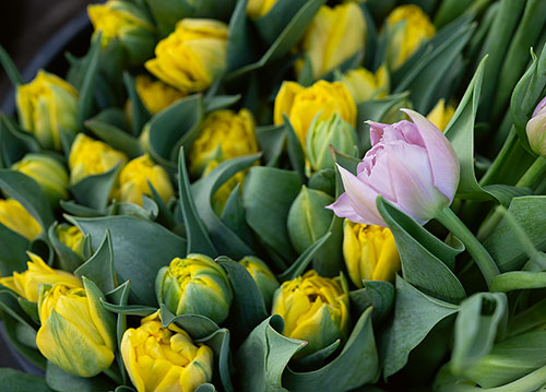 doppelkarte A5 2106 c. neutral q