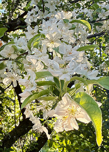 doppelkarte A5 2107 c. neutral q