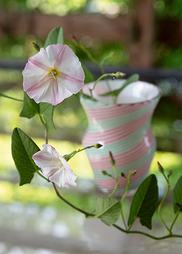 doppelkarte A5 2109 c. neutral q