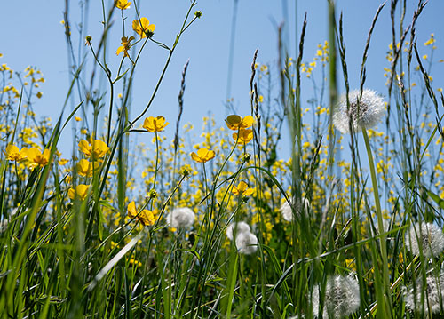 doppelkarte A5 2110 c. neutral q