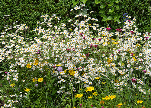 doppelkarte A5 2111 c. neutral q