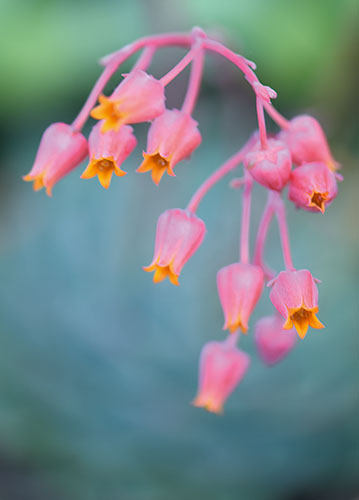 doppelkarte A5 2116 c. neutral q