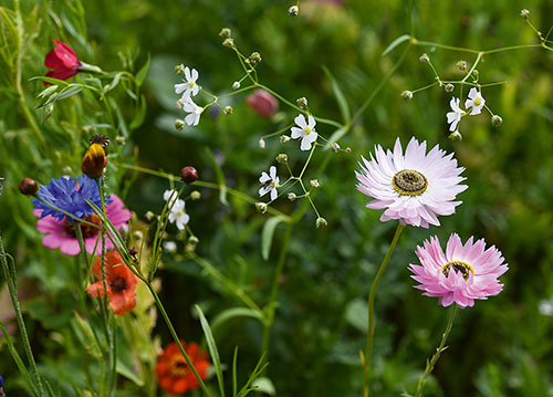 doppelkarte A5 2118 c. neutral q