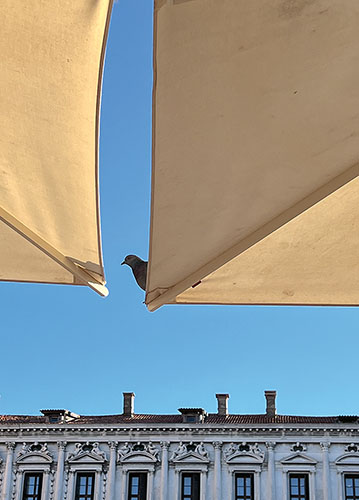 doppelkarte A5 2121 c. neutral q