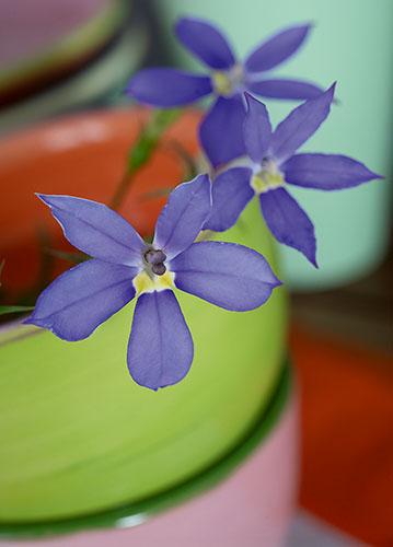 doppelkarte A5 2129 c. neutral q