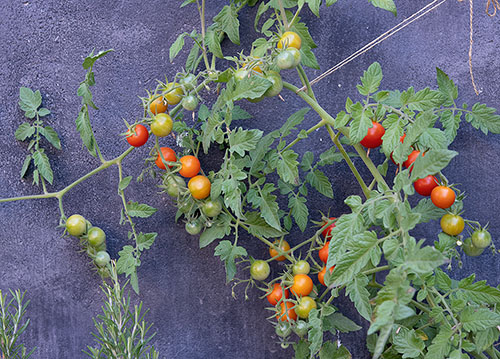 doppelkarte A5 2132 c. neutral q