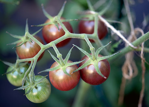 doppelkarte A5 2133 c. neutral q