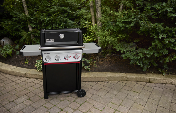 Weber SPIRIT E-425 GBS