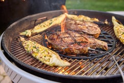 Performer Smart 57 cm