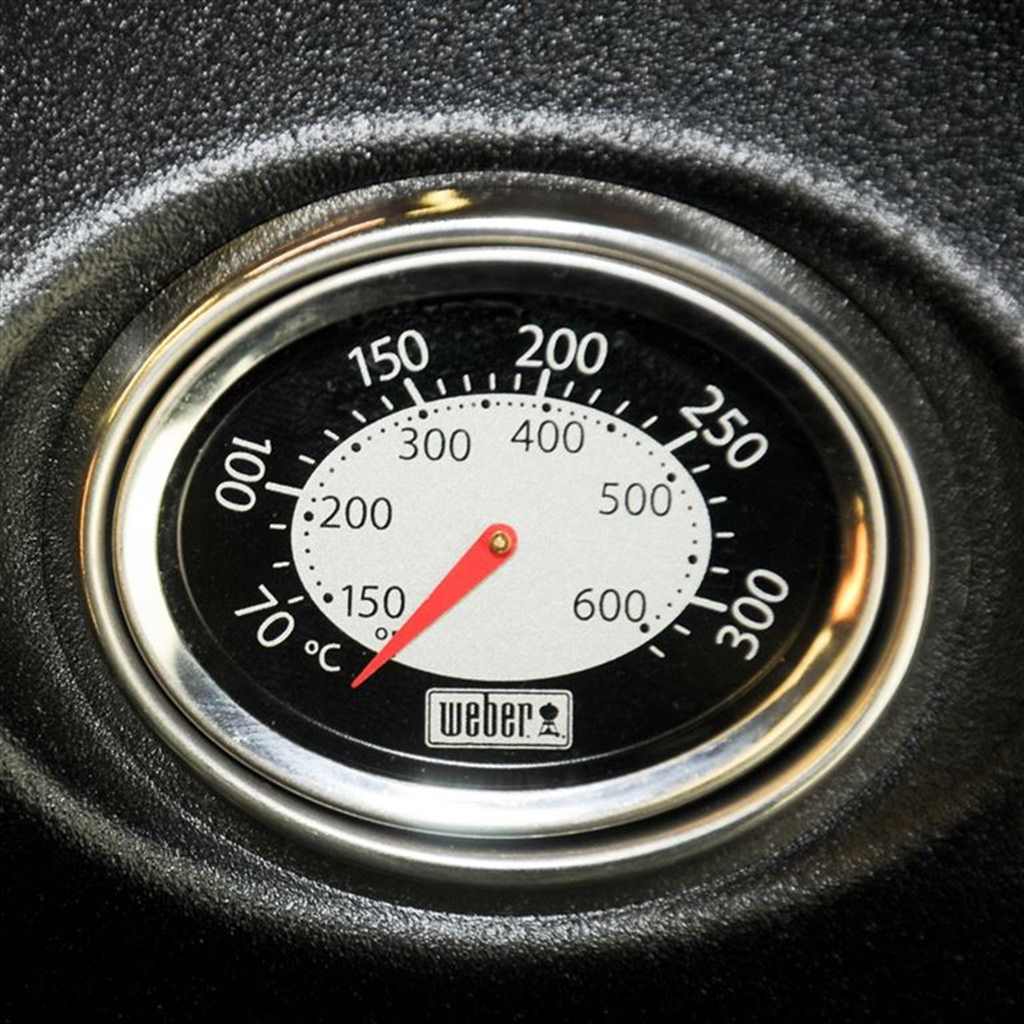 Weber Thermometer zu Q 2200