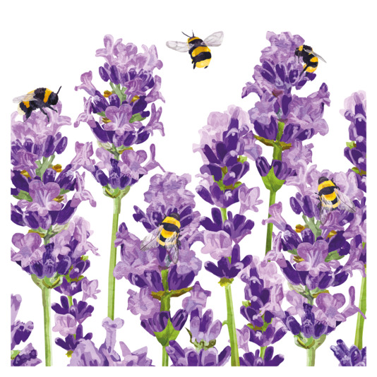 Servietten Bees & Lavender