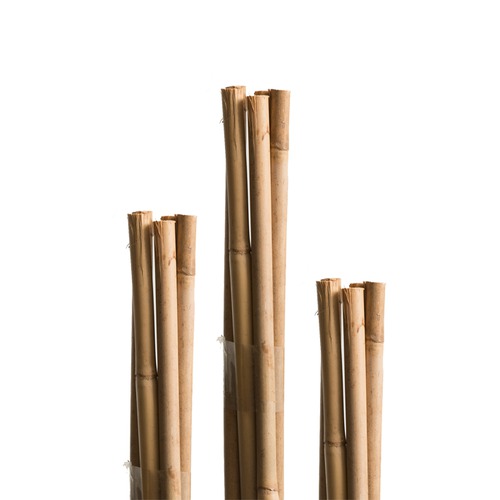 Bambus-Stäbe