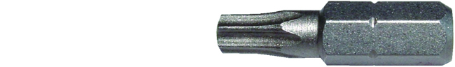 Edelstahl-Bit 1/4'', 25mm  T10<br>