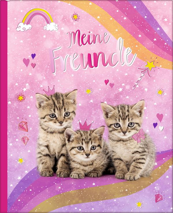 Freundebuch Cosmic School Katze