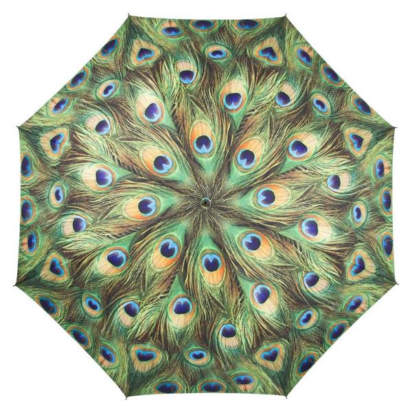Pfau