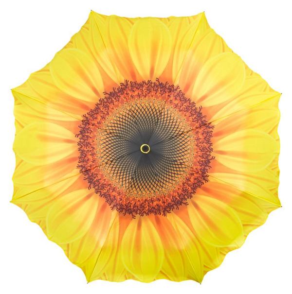 Sonnenblume