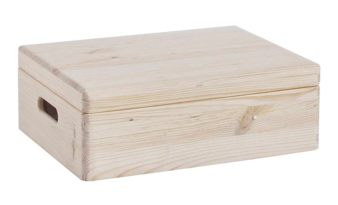 Allzweckkiste mit Deckel 40x30x14 cm