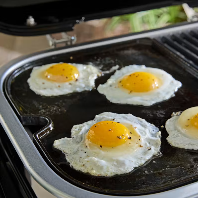 Weber Lumin Elektrogrill (2026)