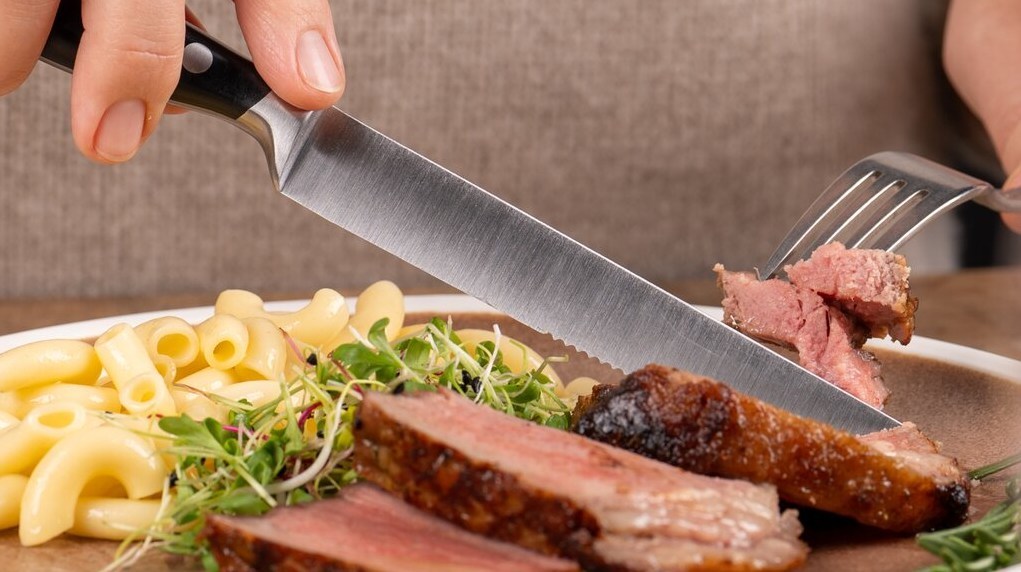 Berndorf Luzern Steakmesser 2-er Set