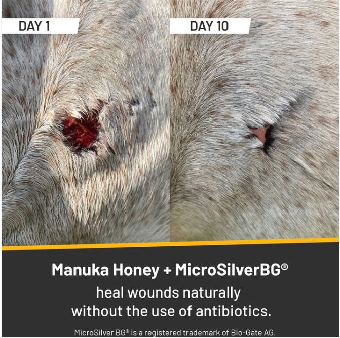 Silver Honey Salbe<br>