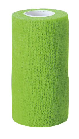 Vetlastic Bandage grün 10 cm x 4.5 m<br>